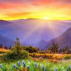 Tidwell Mental Health Services